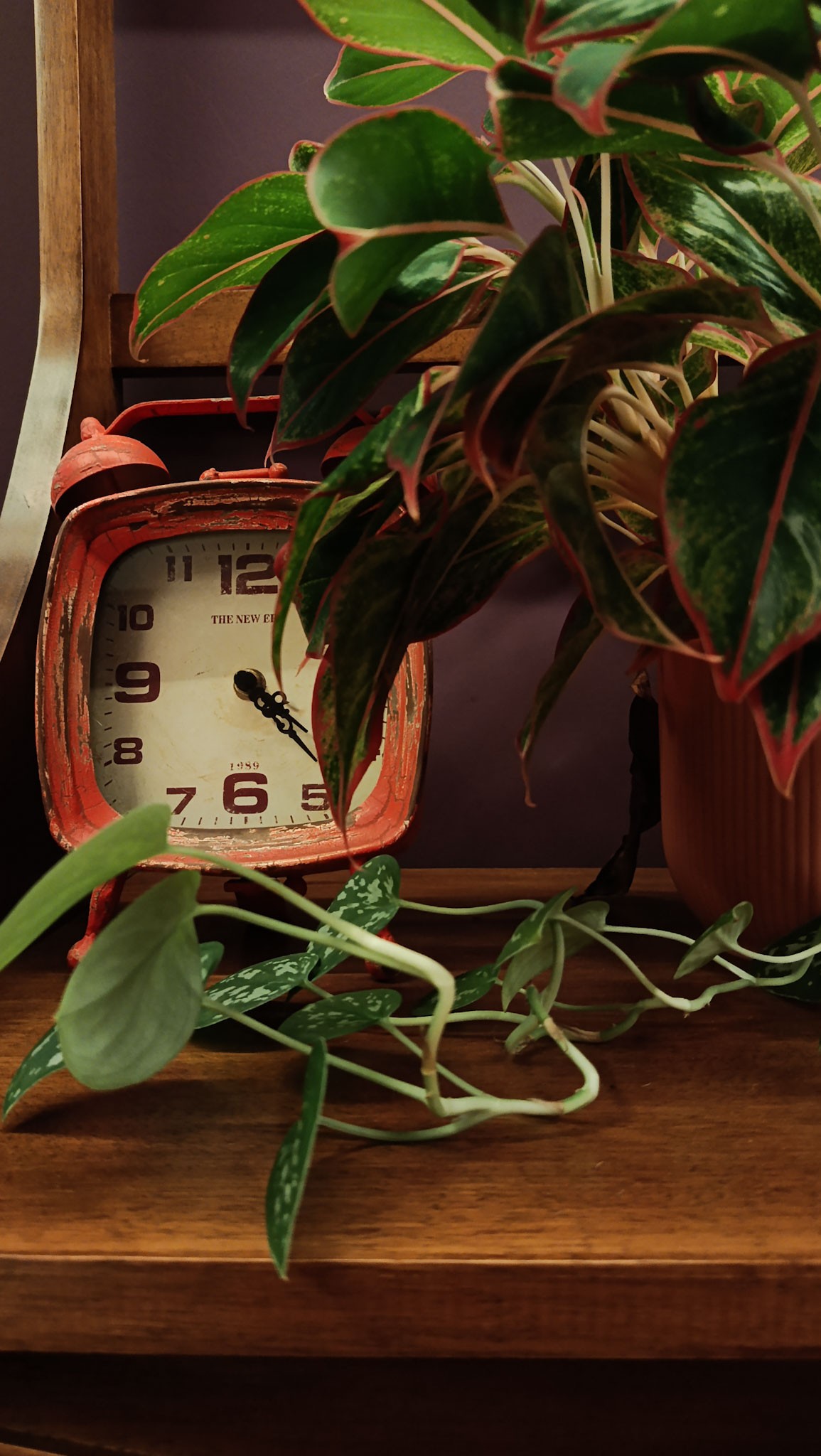 Relógio antigo entre plantas, no espaço da Átris